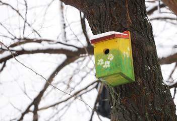 Naklejka premium Yellow bird house
