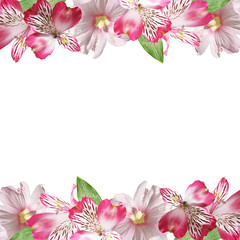 Beautiful floral background of pink Alstroemeria and mallow 