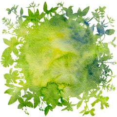 Background with drawing herbs and flowers © cat_arch_angel