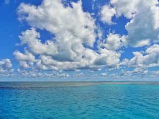 The Great Barrier Reef 