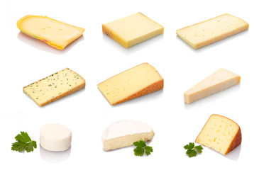 Verschiedene Käse Sorten
