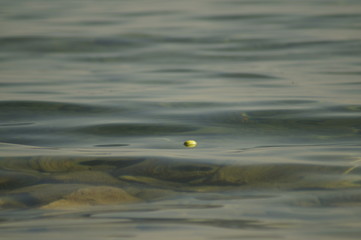 Ohrid_lake