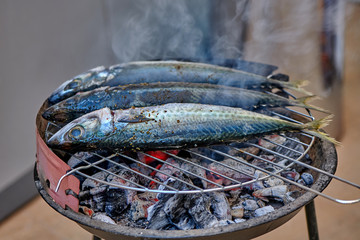 Mackerel on the grill