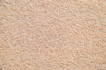 TEXTURAS DE ARENA DE PLAYA