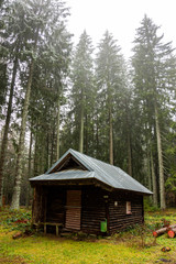 Winter rain walk in the Black Forest Germany