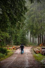 Obraz premium Winter rain walk in the Black Forest Germany