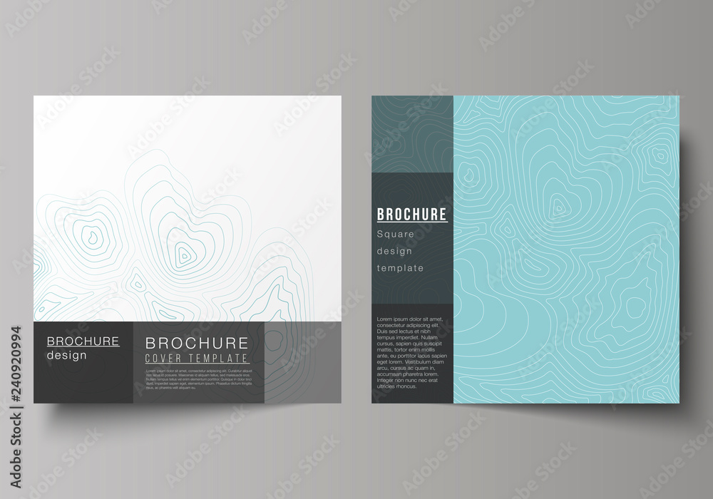 Wall mural the minimal vector illustration of editable layout of two square format covers design templates for 