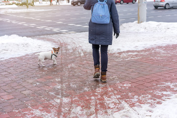 man with a dog walks on a slippery sidewalk in winter near the road, sand and salt sprinkled