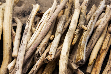 pile of driftwood on a beach