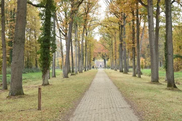 Fototapete Herbstliche Auffahrt am Schloss auf dem Anwesen De Slangenburg im Achterhoek © henkbouwers