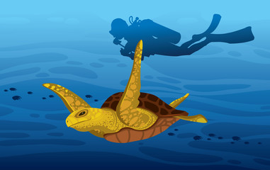 Obraz na płótnie Canvas Turtle, scuba diver, underwater sea.