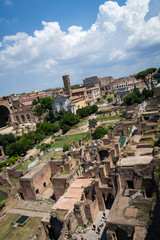 Overlooking Roman Forum