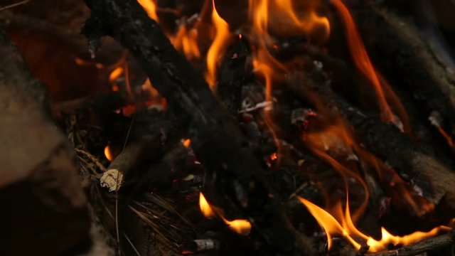 Close-up shot of wood burning in a campfire