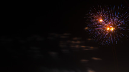 Fototapeta premium fireworks in the night sky
