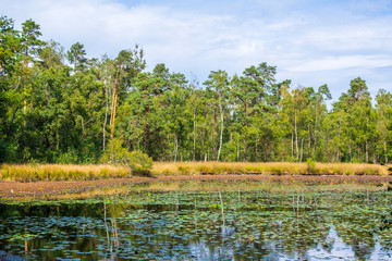 Schwattet Gatt, Naturschutzgebiet