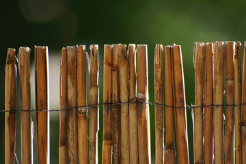 bamboo fence with green background