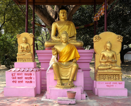 Four golden Buddha statues in gardens of Thai Monastery at Sarnath in India