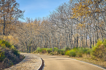 Autumn scene with road in the forest in La Vera, Extremadura. Spain