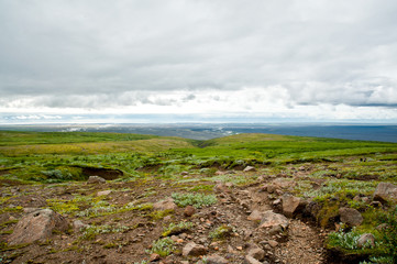 Fototapeta na wymiar Panorama Ausblick auf den Nationalpark Skaftafell Island