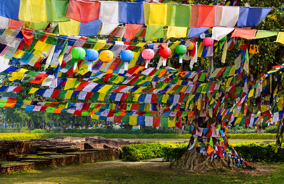 Prayer Flags tying all the Bodhi trees in most colorful of the ways at Lumbini Garden, the Buddha birthplace in Nepal