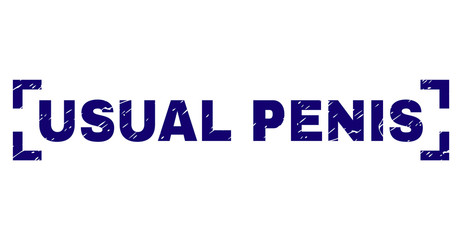 USUAL PENIS label seal print with grunge texture. Text label is placed between corners. Blue vector rubber print of USUAL PENIS with corroded texture.