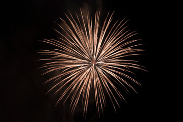 Fireworks at night. Night pyrotechnics
