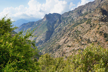 Mountain range, Sequoia National Park, USA