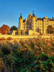 Reed edge with the Schwerin castle in the background. Germany