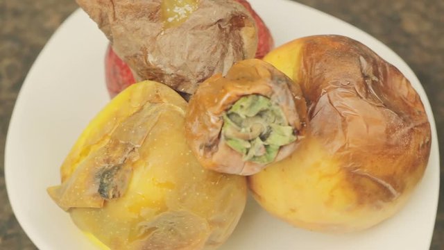 Rotten Fruits Rotates On A White Plate With Drosophila Flies Flying Around
