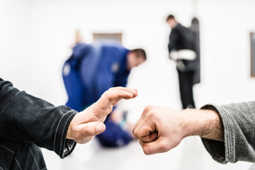 Obraz premium hand bump at the brazilian Jiu Jitsu sparring