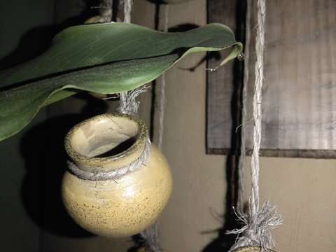 Jarr&oacute;n, Hoja, Desenfoque, R&uacute;stico, Close-Up