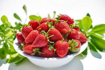 white ceramic bowl with strawberries isolated on white background