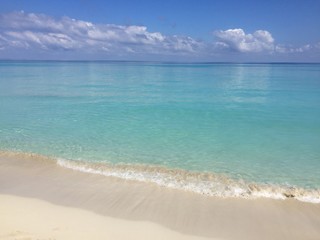 beach with sky