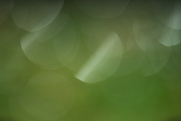 Green blurred background of grass and sunlight.