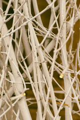 Yellow LED garlands on white branches. Blurred background. Vertical frame