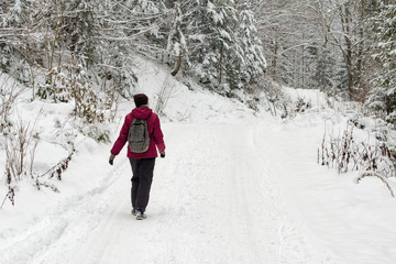 Girl with a backpack walking along the road in a snowy forest. Winter day