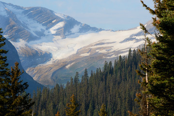 Glaciers laying around in Glacier National Park.