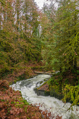 Cedar Creek in Woodland Washington