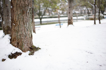 雪