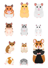 collection of hamster breeds