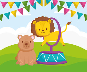 cute circus lion jumping ring