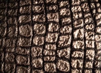 Pattern of rough crocodile leather as background