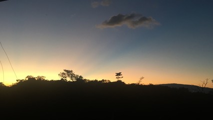 sunset with trees and blue sky