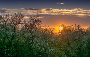 Obraz premium Sonnenuntergang in Deutschland badenwürtemberg