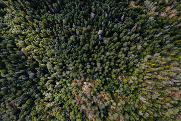 forst in norway from above