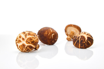 Shiitake mushroom on the White background