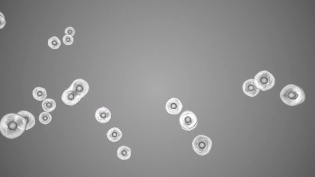 Cells randomly dividing by osmosis