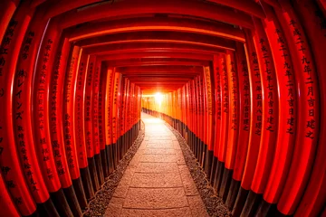 Poster Torii gates in Fushimi Inari Shrine, Kyoto, Japan © lkunl