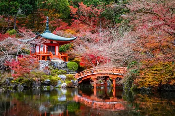 Fotobehang Daigoji-tempel in de herfst, Kyoto, Japan © lkunl