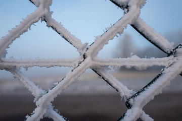 fence in winter